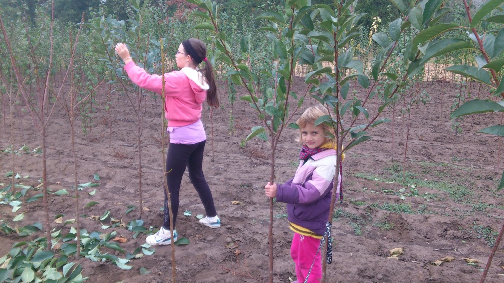 Dolgoznak a gyerekek